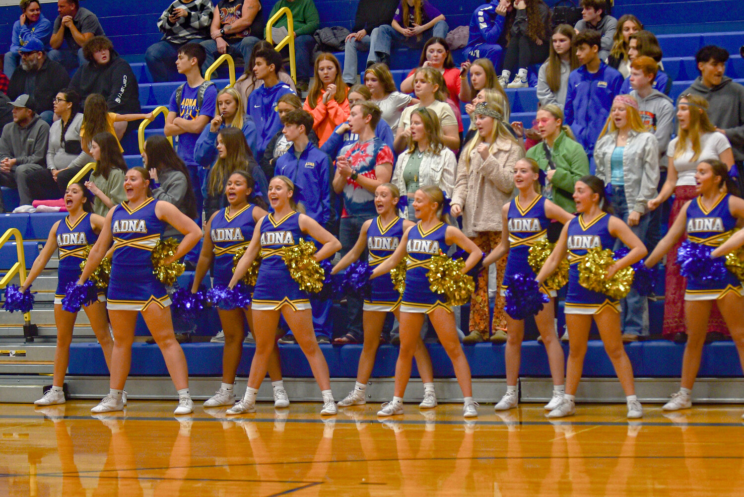 The Adna Cheer Team supports thier team during Adna's 78-37 win over Onalaska Dec. 7.